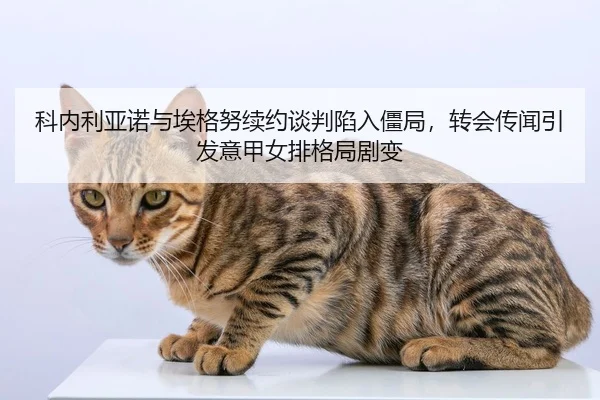 ke-nei-li-ya-nuo-yu-ai-ge-nu-xu-yue-tan-pan-xian-ru-jiang-ju-zhuan-hui-chuan-wen-yin-fa-yi-jia-nv-pai-ge-ju-ju-bian-2-852.jpg